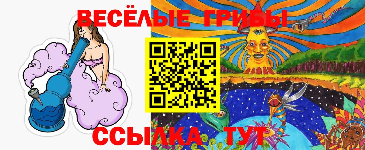 Псилоцибиновые грибы прущие грибы  Вход с VPN  Геленджик 